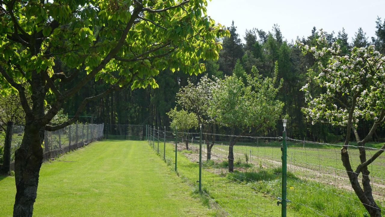 Ferienhaus Idyllisches In Ruhiger Lage Wölsickendorf-Wollenberg
